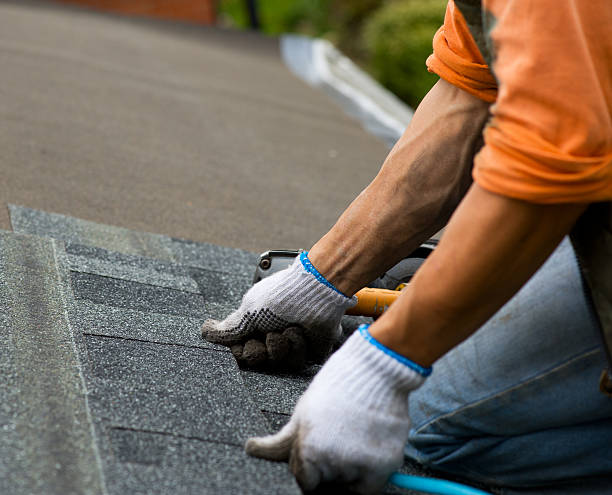 Best Storm Damage Roof Repair  in East Lansdowne, PA